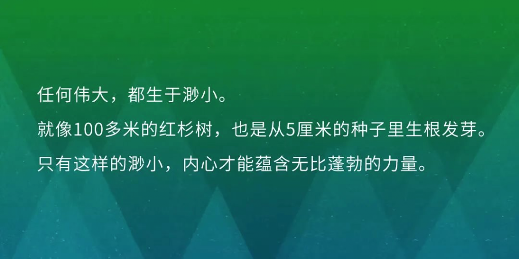 米兰体育官网入口陶建辉：为世界留痕，我拒绝跟随 | 红杉种子特别出品